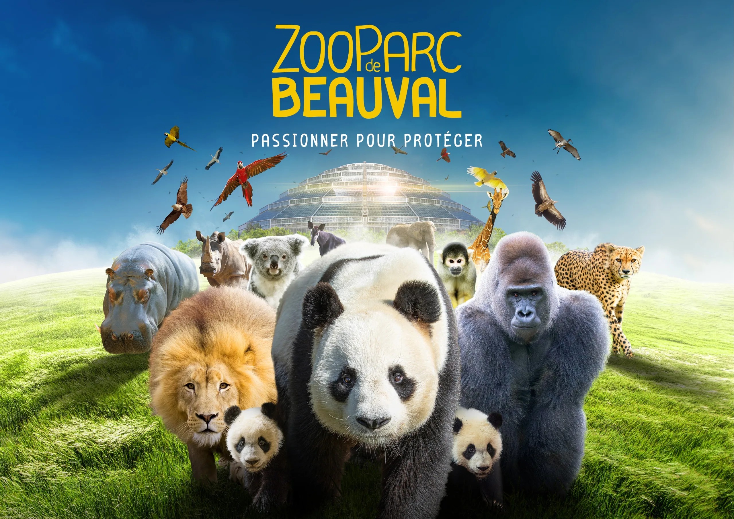 ZooParc de Beauval - Saint-Aignan-sur-Cher (41)